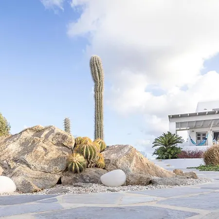 Ione *