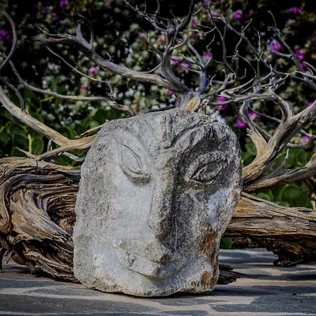 ヴィラ Ione ミクリ・ヴィグラ