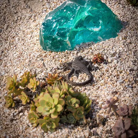 Ione ミクリ・ヴィグラ